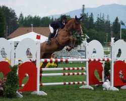 jumper Hhs Flo (Irish Sport Horse, 2005, from Fortunus)