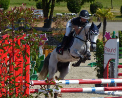 jumper Cornets Cracher (German Riding Pony, 2018, from Cracher)