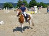 dressage horse Maali (German Riding Pony, 2006)