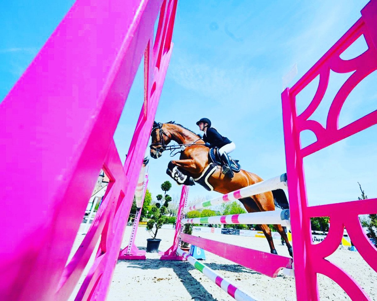 jumper Little Lucy Ew (Oldenburg show jumper, 2014, from Lordanos)