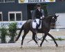 dressage horse Shanghai 19 (Oldenburg, 2016, from Honoré du Soir)