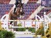 jumper G CT Super Sonic (KWPN (Royal Dutch Sporthorse), 2011, from Zambesi TN)