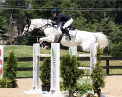 Zuchtstute Miss Lucy Hh (Luxemburgisches Reitpferd, 2009, von Mr Blue)