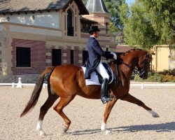 dressage horse Fiederglanz (Oldenburg, 2006, from Fidertanz)