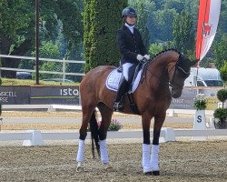 dressage horse Patti Page (Oldenburg, 2018, from Skydiver 4)