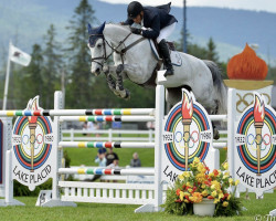 jumper Chiara Blue Diamond (Oldenburg show jumper, 2007, from Chacco-Blue)