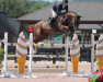 jumper Ginger Ale (KWPN (Royal Dutch Sporthorse), 2011, from Tyson)