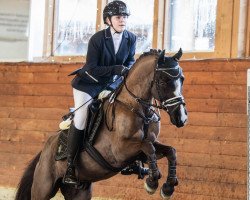 jumper Rondo 447 (Welsh-Pony (Section B), 2002, from Rakt's Rocky)