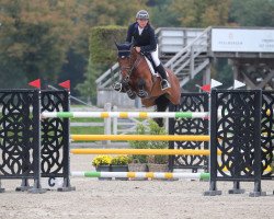 jumper Elina (KWPN (Royal Dutch Sporthorse), 2009, from Carthino Z)