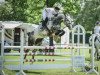 jumper Melody H (KWPN (Royal Dutch Sporthorse), 2017, from Dallas VDL Z)