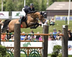 Springpferd Noemi Vh Wuitenshof (Belgisches Warmblut, 2013, von Castelino van de Helle)