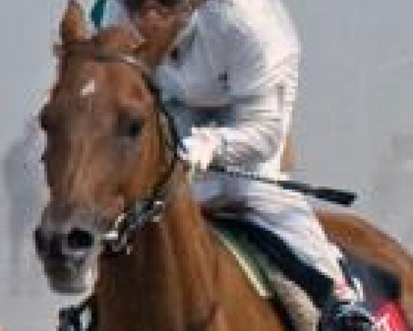 Angelique Ording