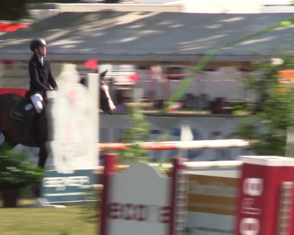 Reitturnier Löbnitz 2023