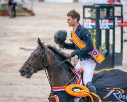 jumper Hardesther (KWPN (Royal Dutch Sporthorse), 2012, from Kannan)