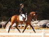 dressage horse Vancouver's Victori (Westphalian, 2014, from Vancouver L)