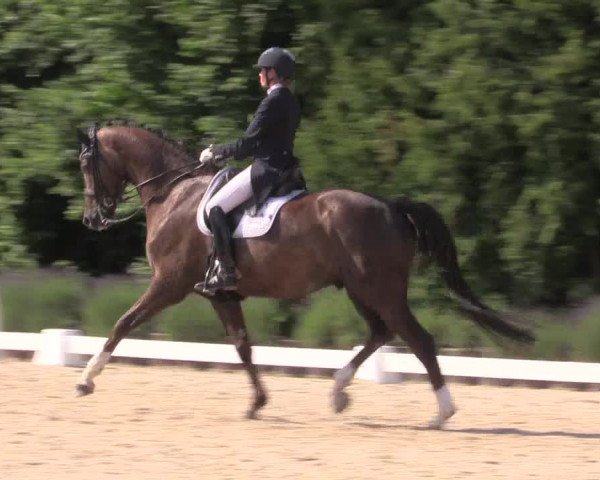 Reitturnier Lindlar - Reitanlage Dückers 2023