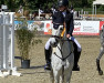 jumper Paddys Flower (Irish Sport Horse, 2010)