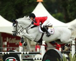 jumper Ace (KWPN (Royal Dutch Sporthorse), 2005, from Berlin)