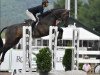 jumper Carrilou (Oldenburg show jumper, 2009, from Carrico)