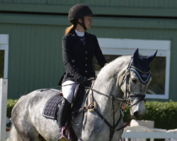 Springpferd Comtesse Vh Simsehof (Zangersheide Reitpferd, 2018, von Cornet Obolensky)