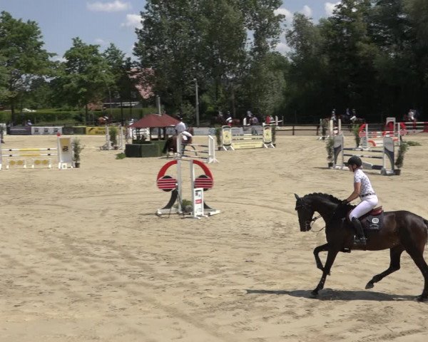 Reitturnier Ochtrup 2023