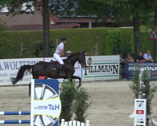 Reitturnier Ochtrup 2023