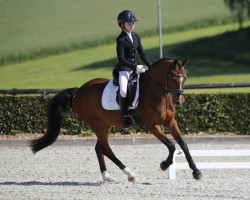 dressage horse Naomi`s Abu Dhabi (German Riding Pony, 2013, from Nutrix)