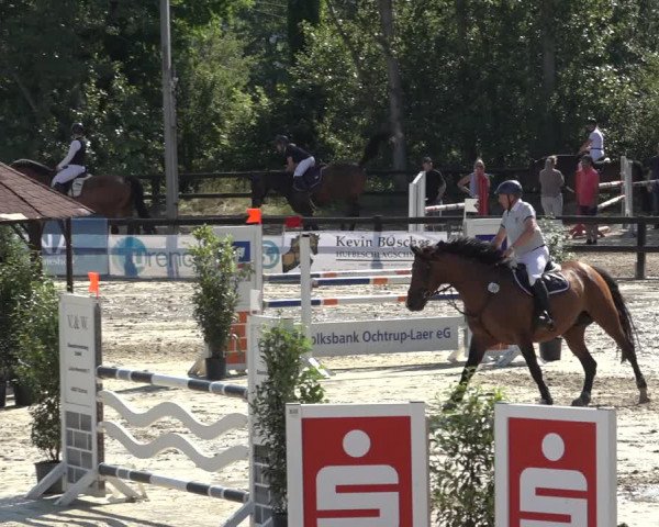 Reitturnier Ochtrup 2023