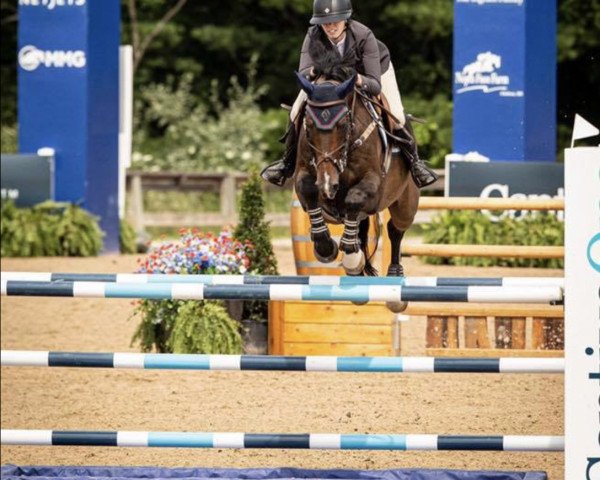 jumper Zemilion (KWPN (Royal Dutch Sporthorse), 2004, from Emilion)