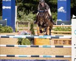 jumper Zemilion (KWPN (Royal Dutch Sporthorse), 2004, from Emilion)