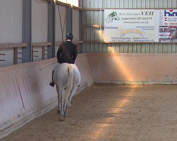 Reitturnier Bad Windsheim/Mfr. 2023