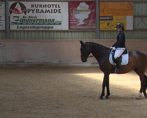 Reitturnier Bad Windsheim/Mfr. 2023