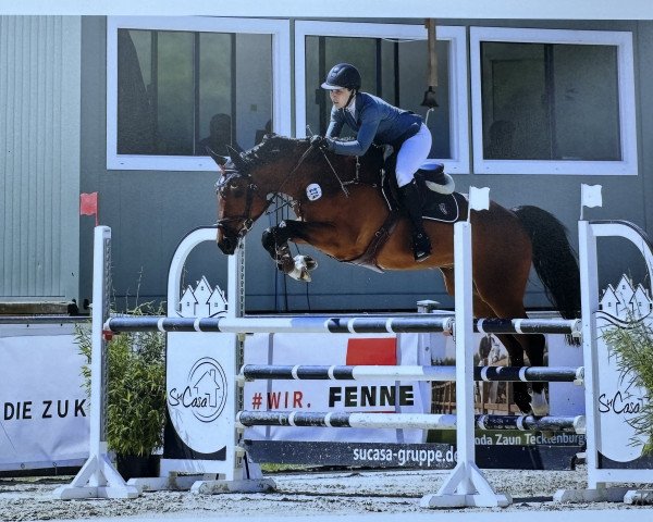 jumper Cleiner 4 (Oldenburg show jumper, 2017, from Comme il Faut)