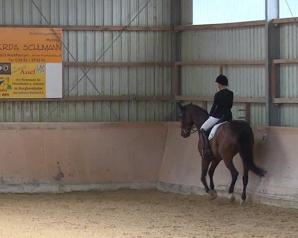 Reitturnier Bad Windsheim/Mfr. 2023