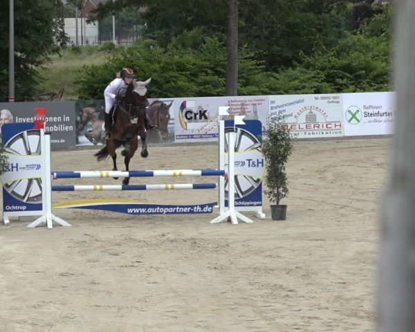 Reitturnier Ochtrup 2023