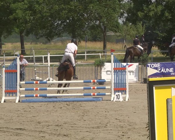 Reitturnier Biebesheim 2023