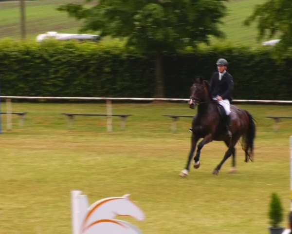 Reitturnier Wingerode 2023