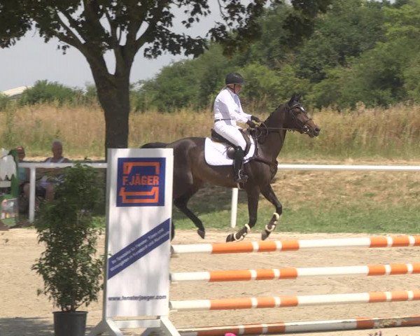 Reitturnier Biebesheim 2023
