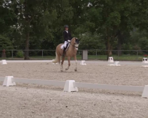 Reitturnier Rot am See- Musdorf 2023