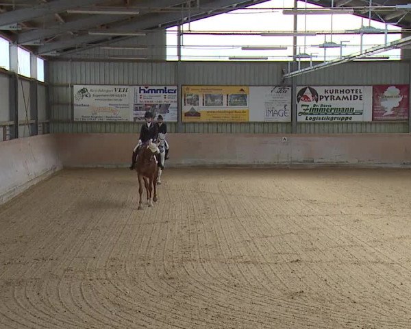 Reitturnier Bad Windsheim/Mfr. 2023