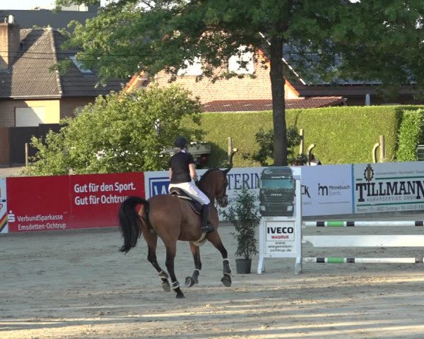 Reitturnier Ochtrup 2023