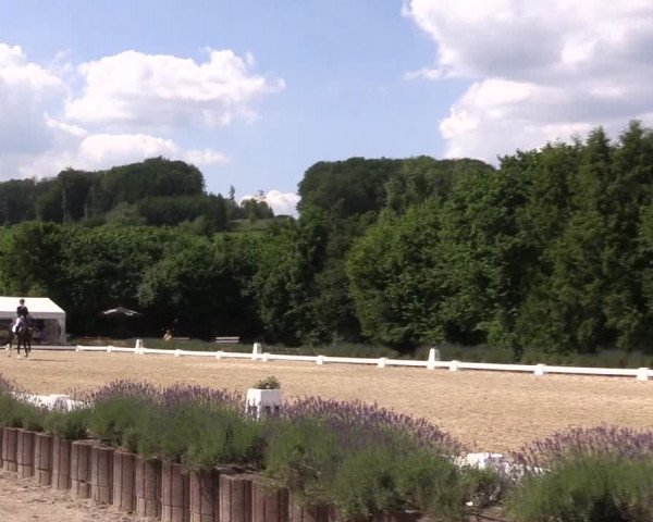 Reitturnier Lindlar - Reitanlage Dückers 2023
