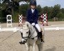 dressage horse Holst.kantor (Shetland Pony, 2001, from Karneval)