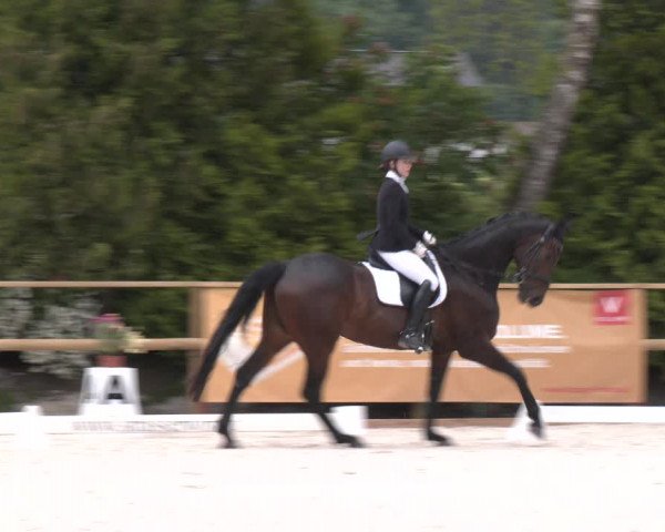 Reitturnier St. Ulrich am Pillersee 2023