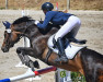 jumper Lily M (German Sport Horse, 2008, from Stallone Quainton)