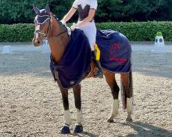 dressage horse Fräulein Frieda BK (Hannoveraner, 2017, from Finnigan)