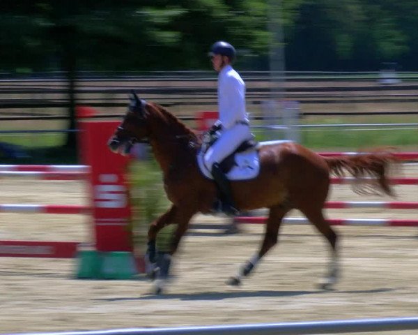 Reitturnier Coesfeld/Lette 2023