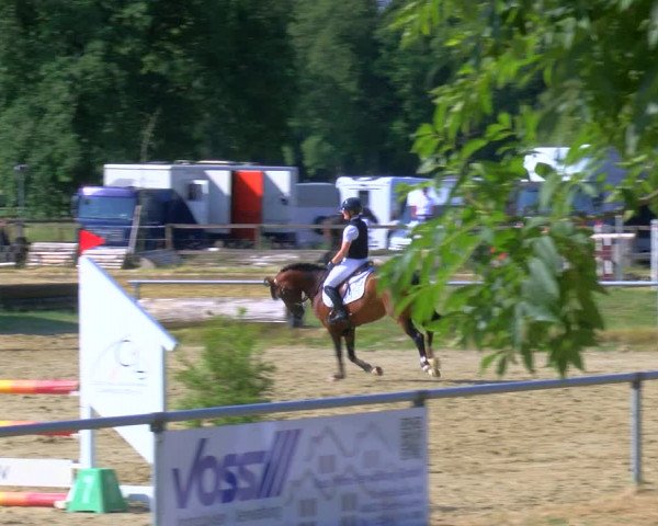 Reitturnier Coesfeld/Lette 2023