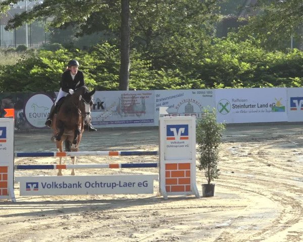 Reitturnier Ochtrup 2023