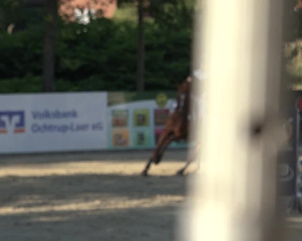 Reitturnier Ochtrup 2023